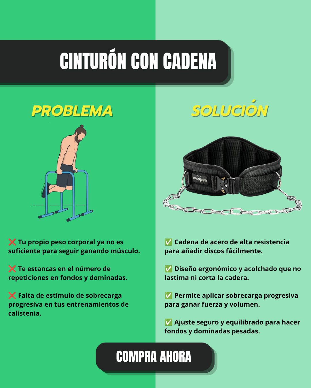 Cinturón Con Cadena Para Discos Profesional - Global Fitness