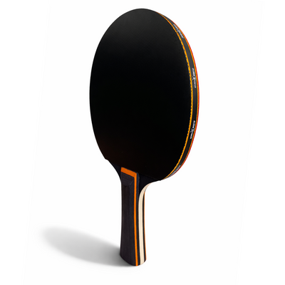 Raqueta Tenis de Mesa 3 estrellas