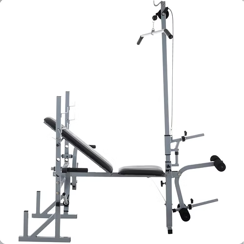 Banco Ejercicio Múltiple Libre Polea Alta