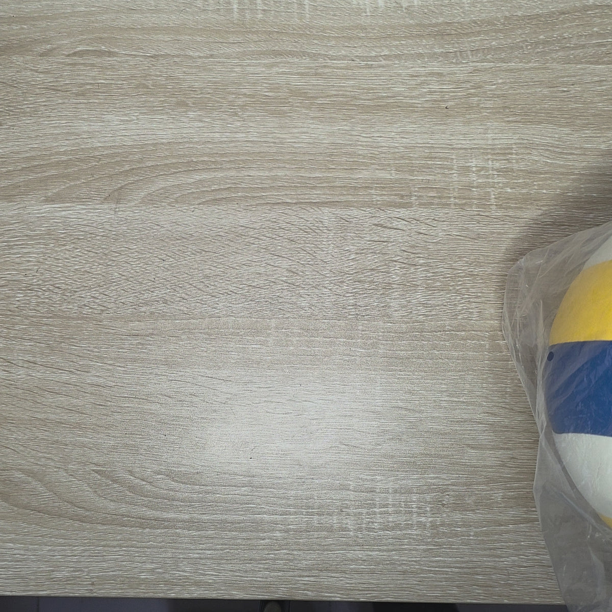 voleibol